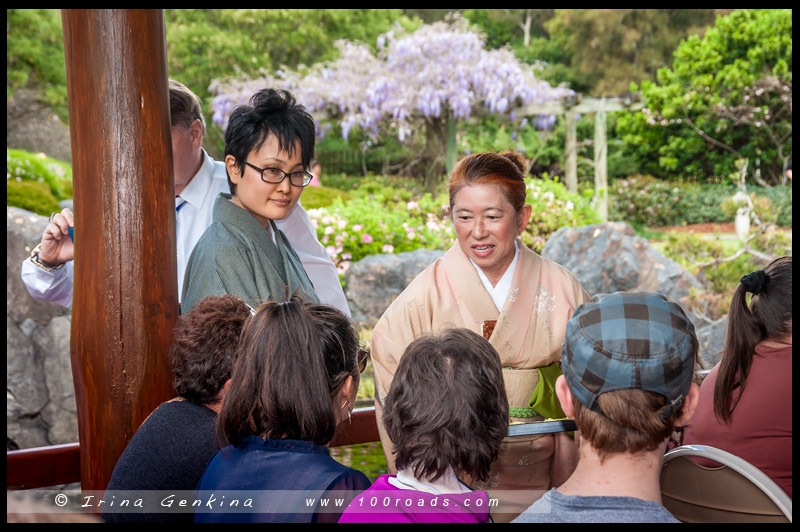 Tea ceremony, Japanese Garden, Edogawa Commemorative Garden, Gosford, NSW, Australia