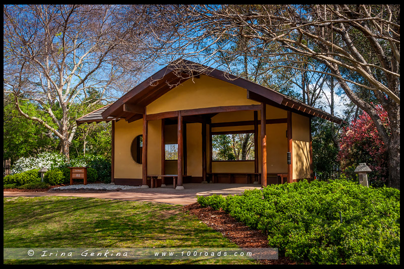 Tea ceremony, Japanese Garden, Edogawa Commemorative Garden, Gosford, NSW, Australia