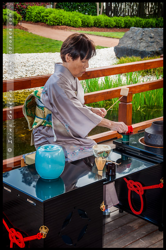 Tea ceremony, Japanese Garden, Edogawa Commemorative Garden, Gosford, NSW, Australia