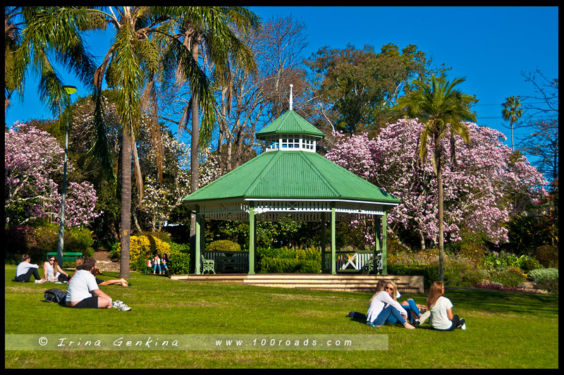 Варунга парк (Wahroonga Park) - Городские сады