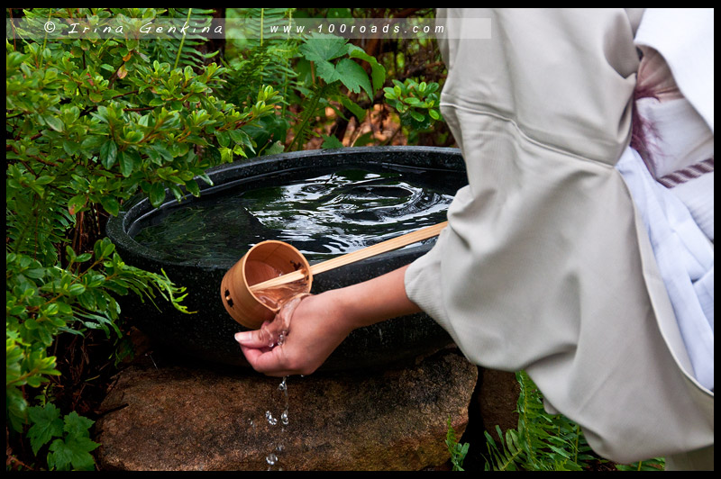 Hatsugama at Leura, 初釜, Japanese tea ceremony, NSW, Australia