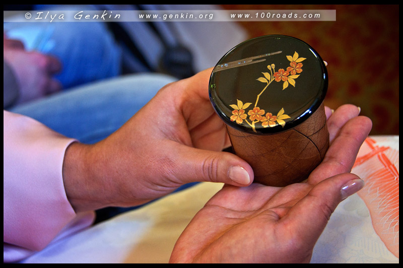 Spring Annual Chakai, Japanese tea ceremony, 茶の湯, 茶道, さどう、ちゃどう, 着物, kimono, Homongi, 訪問着, Taiko musubi, 太鼓結び, Sydney, Australia