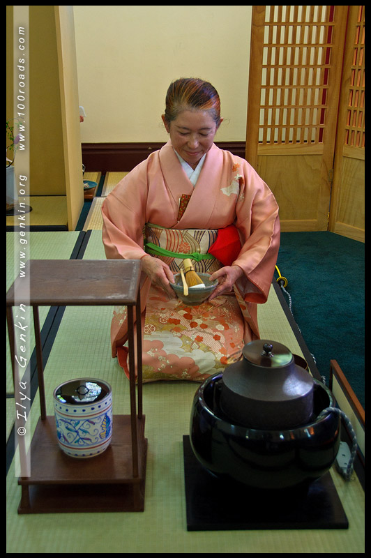 Spring Annual Chakai, Japanese tea ceremony, 茶の湯, 茶道, さどう、ちゃどう, 着物, kimono, Homongi, 訪問着, Taiko musubi, 太鼓結び, Sydney, Australia