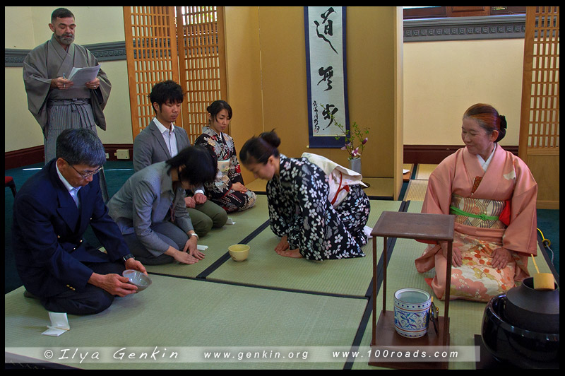 Spring Annual Chakai, Japanese tea ceremony, 茶の湯, 茶道, さどう、ちゃどう, 着物, kimono, Homongi, 訪問着, Taiko musubi, 太鼓結び, Sydney, Australia