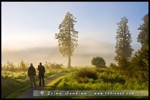 Озеро Матесон, Lake Matheson, Южный остров, South Island, Новая Зеландия, New Zealand