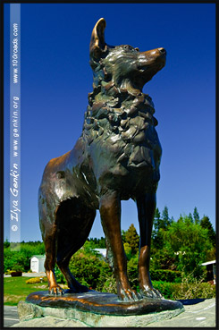 Памятник собаке овчарке-колли, Озеро Текапо, Lake Tekapo, Южный остров, South Island, Новая Зеландия, New Zealand