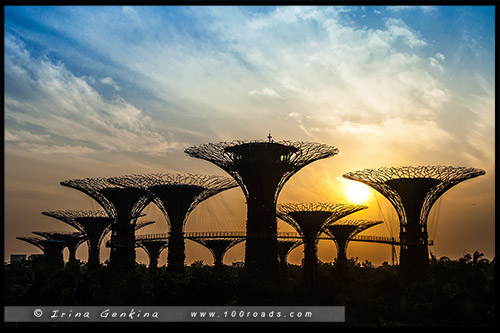 Сады у залива, Gardens by the Bay, Сингапур, Singapore