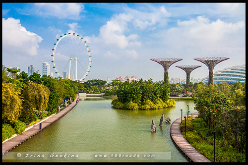 Сады у залива, Gardens by the Bay, Сингапур, Singapore