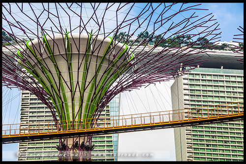 Сады у залива, Gardens by the Bay, Сингапур, Singapore