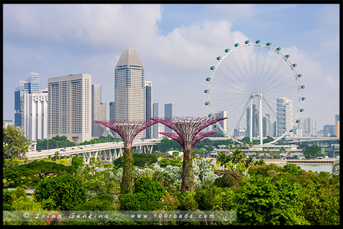 Сады у залива, Gardens by the Bay, Сингапур, Singapore