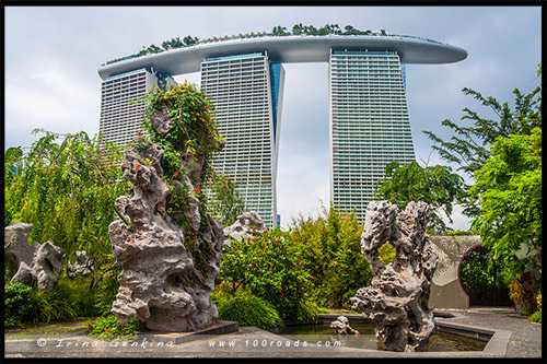 Сады у залива, Gardens by the Bay, Сингапур, Singapore