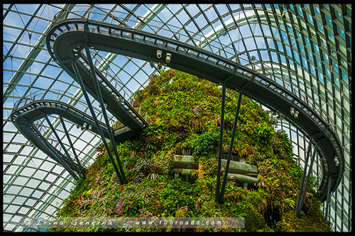 Сады у залива, Gardens by the Bay, Сингапур, Singapore