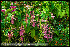 Сады у залива, Gardens by the Bay, Сингапур, Singapore