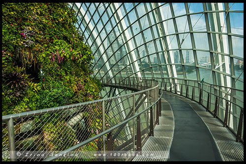 Сады у залива, Gardens by the Bay, Сингапур, Singapore