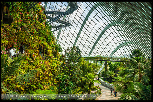 Сады у залива, Gardens by the Bay, Сингапур, Singapore