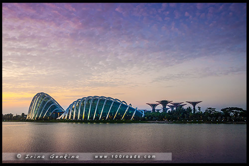 Сады у залива, Gardens by the Bay, Сингапур, Singapore