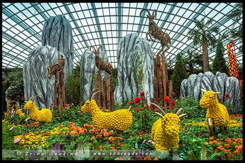 Сады у залива, Gardens by the Bay, Сингапур, Singapore