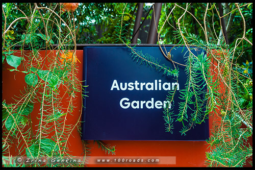 Сады у залива, Gardens by the Bay, Сингапур, Singapore