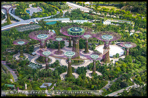 Сады у залива, Gardens by the Bay, Сингапур, Singapore