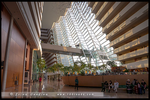 Отель Марина Бэй Сэндс, Hotel Marina Bay Sands, Сингапур, Singapore