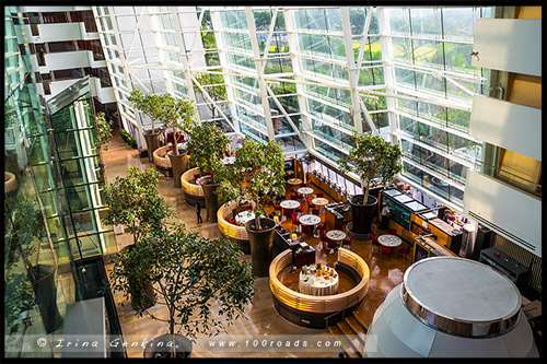Отель Марина Бэй Сэндс, Hotel Marina Bay Sands, Сингапур, Singapore
