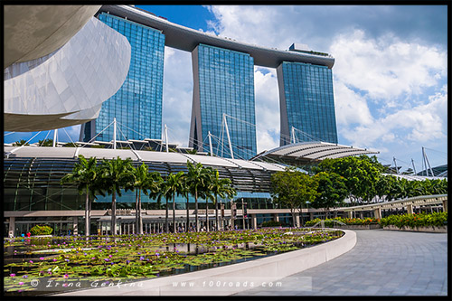 Отель Марина Бэй Сэндс, Hotel Marina Bay Sands, Сингапур, Singapore