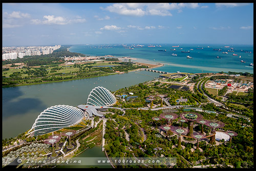 Сады у залива, Gardens by the Bay, Сингапур, Singapore