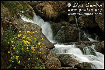 Водопад Св.Каламба, St Columba Falls, Тасмания, Tasmania, Австралия, Australia
