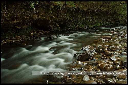 Река Франклин (Franklin River), Тасмания, Tasmania, Австралия, Australia