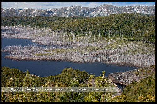 Дамба на реке Гордон, Gordon Dam, Тасмания, Tasmania, Австралия, Australia