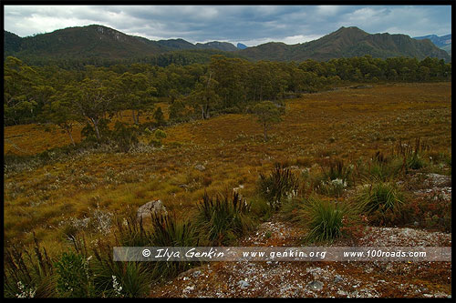 Тасманийская Шотландия, Tasmanian Highlands, Тасмания, Tasmania, Австралия, Australia