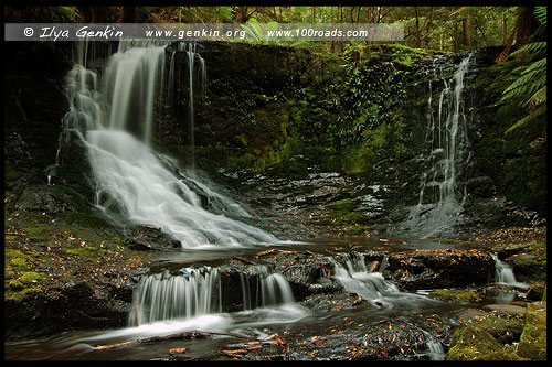 Водопад Подкова, Horseshoe Falls, Парк Маунт-Филд, Mt Field NP, Тасмания, Tasmania, Австралия, Australia