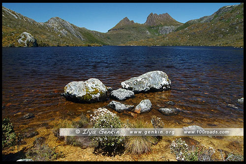 Озеро Дав, Lake Dove, Озеро Голубка, Парк Крэдл Маунтен, Cradle Mountain NP, Тасмания, Tasmania, Австралия, Australia