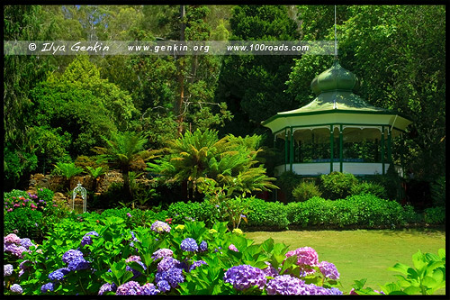 Катаракт Годж - Порожистое ущелье, Cataract Gorge, Лонсестон, Launceston, Тасмания, Tasmania, Австралия, Australia