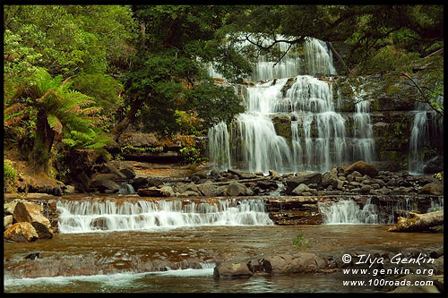 Водопад Лиффи, Liffey Falls, Тасмания, Tasmania, Австралия, Australia