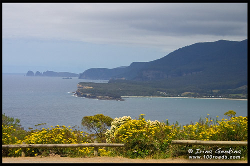 Панорамный вид с дороги Залив Пиратов (Pirates Bay road), Полуостров Лесничий, Forestier Peninsula, Тасмания, Tasmania, Австралия, Australia