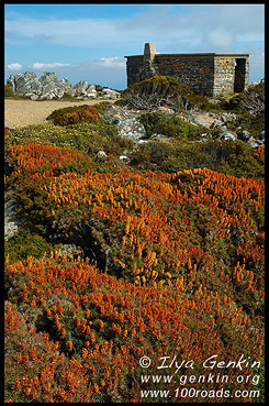 Гора Барроу, Mt. Barrow, Тасмания, Tasmania, Австралия, Australia