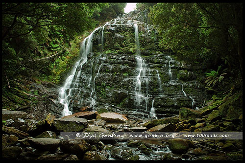 Водопад Нельсон (Nelson Falls), Тасмания, Tasmania, Австралия, Australia