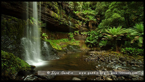 Водопад Расселл, Russell Falls, Парк Маунт-Филд, Mt Field NP, Тасмания, Tasmania, Австралия, Australia