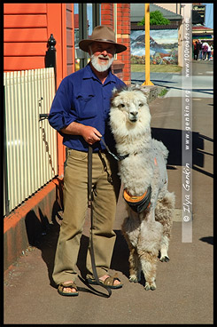 Шеффилд, Sheffield, Тасмания, Tasmania, Австралия, Australia