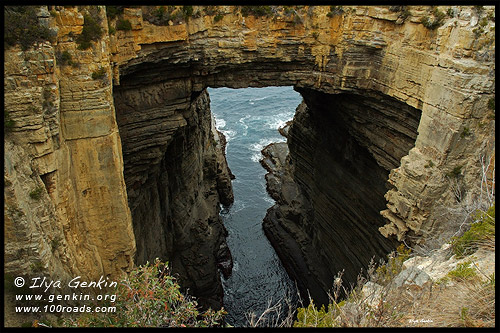 Tasman Arch,  Полуостров Тасман, Tasman Peninsula, Тасмания, Tasmania, Австралия, Australia