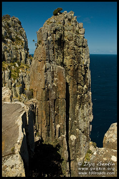 Дорогой на Мыс Хауй, Way to Cape Hauy, Полуостров Тасман, Tasman Peninsula, Тасмания, Tasmania, Австралия, Australia