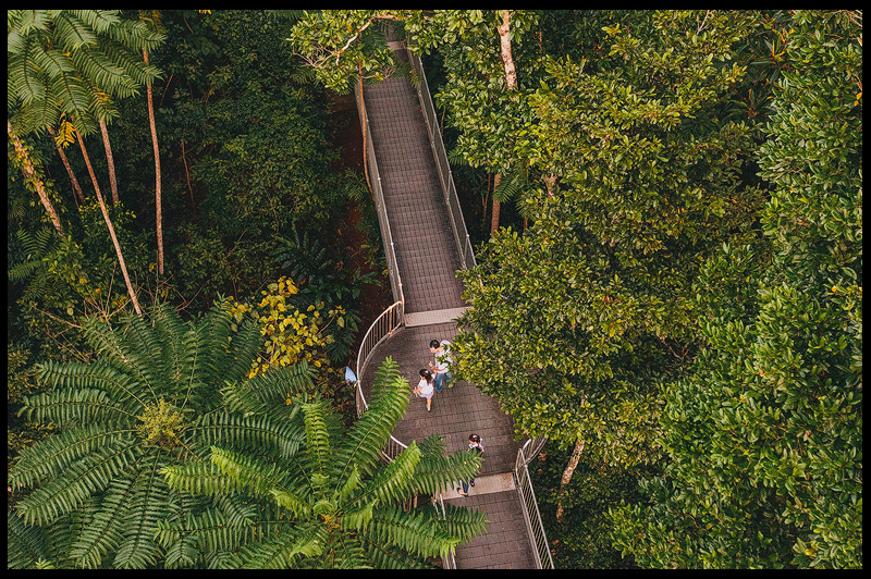 Топ-10 Австралия – Top 10 TreeTop Walks