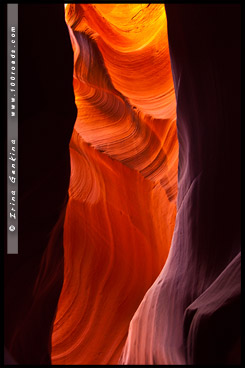 Каньон Антилопы, Antelope Canyon, Аризона, Arizona, США, USA, Америка, America