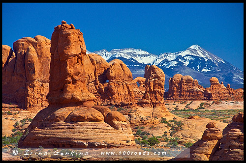 Райский сад, Garden of Eden, Национальный парк Арки, Arches National Park, Юта, Utah, США, USA, Америка, America