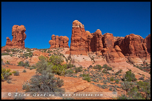 Райский сад, Garden of Eden, Национальный парк Арки, Arches National Park, Юта, Utah, США, USA, Америка, America