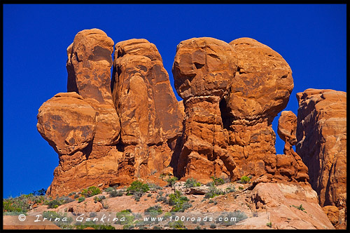 Райский сад, Garden of Eden, Национальный парк Арки, Arches National Park, Юта, Utah, США, USA, Америка, America