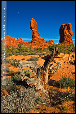 Балансирующий камень, Balanced Rock, Национальный парк Арки, Arches National Park, Юта, Utah, США, USA, Америка, America