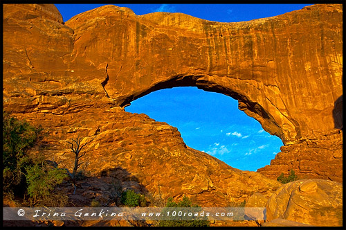 Национальный парк Арки, Arches National Park, Юта, Utah, США, USA, Америка, America