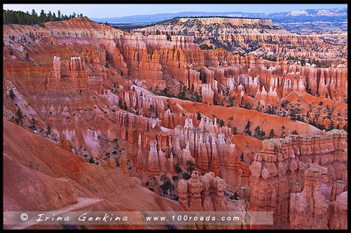 Закат, Каньон Брайс, Bryce Canyon, Юта, Utah, США, USA, Америка, America